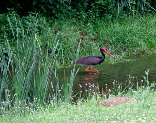 Perperеshka River Villas Stremtsi Bagian luar foto