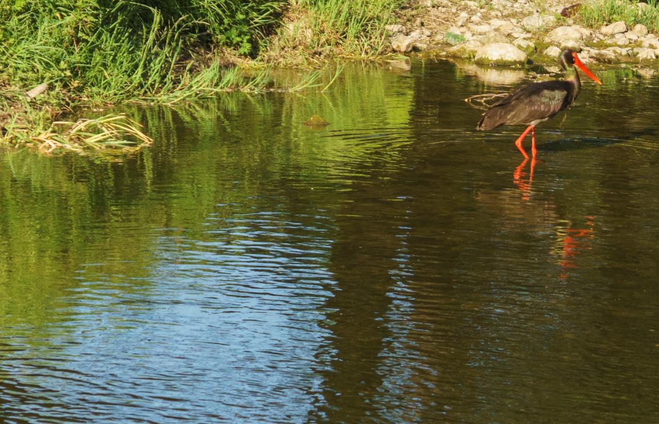 Perperеshka River Villas Stremtsi Bagian luar foto